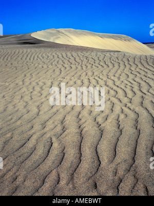 Vista della Playa de Maspalomas dune di sabbia in movimento nelle Isole Canarie Foto Stock