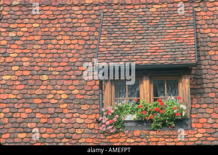 Finestre da tetto a Rothenburg ob der Tauber Germania Foto Stock