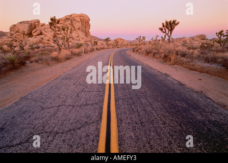 Strada Deserto Mojave CALIFORNIA, STATI UNITI D'AMERICA Foto Stock