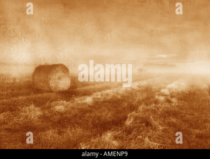 Balle di fieno e la nebbia nei pressi di Lacombe, Alberta, Canada Foto Stock