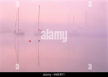 Barche nella nebbia all'alba fiume Saint John, Gagetown New Brunswick, Canada Foto Stock