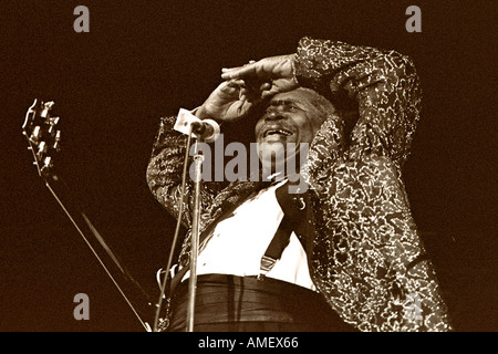 BB King Foto Stock