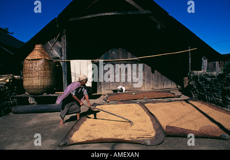 Agricoltore lavora al di fuori di una tradizionale casa tribali in Kigwema villaggio nei pressi di Kohima, Nagaland, India. Foto Stock