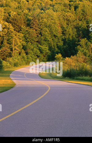 Strada e alberi, Gatineau Parkway, Gatineau Park, Quebec, Canada Foto Stock