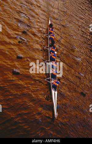 Vista aerea di vogatori Foto Stock