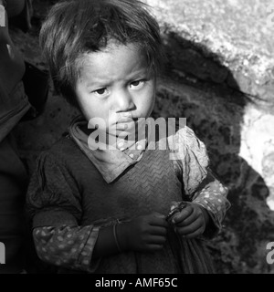 Facce di una mostra Foto Stock