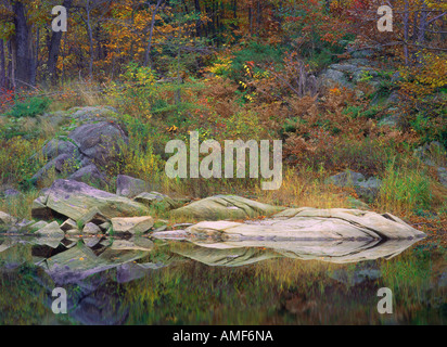 Riflessioni di fogliame su acqua in autunno, vicino Parry Sound, Ontario, Canada Foto Stock