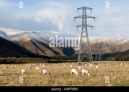 Montagne, piloni di elettricità e di recente tagliata pecore nel nuovo Zealands Mackenzie Paese Foto Stock