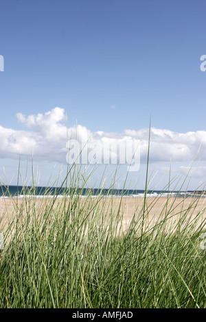 Ritratto di spiaggia erba in primo piano con la spiaggia e il mare in sfondo mostrante il cielo blu con nuvole bianche Foto Stock