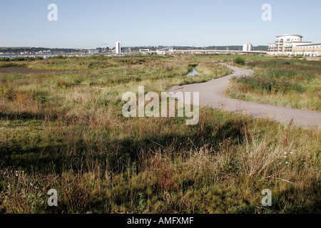 La baia di Cardiff zone umide RISERVA NATURALE, South Glamorgan, South wales, Regno Unito Foto Stock