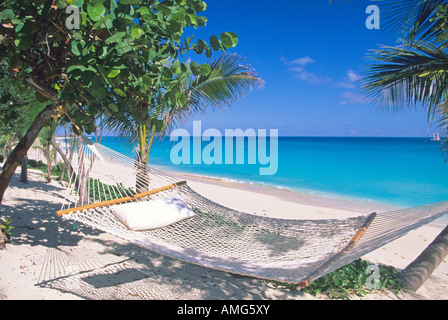 Spiaggia di Saint Martin. La Guadalupa Foto Stock