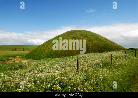 Pic martin phelps 19 05 07 marlborough Saturday Market includono Marlborough Wilts Silbury Hill Foto Stock