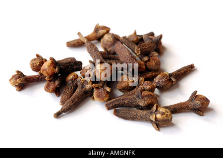 Tutto chiodi di garofano nero su sfondo bianco Foto Stock