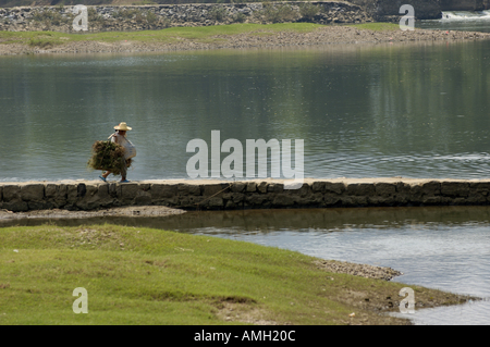 Cina Fuli Guangxi villaggio nei pressi di Yangshuo donna trasporta un carico pesante su un equilibrio lungo le rive del fiume Li Jiang Foto Stock