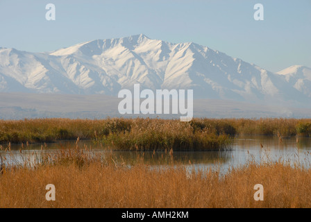 Vista del lago van con vulcano Suphan Dagi in background, Van provincia, Turchia orientale Foto Stock