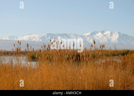 Il lago van paesaggi con vulcano Suphan Dagi in background, Van provincia, Turchia orientale Foto Stock