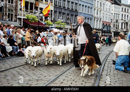 L'agricoltore e il suo gregge che partecipano a Kaiser Karel Parade, Gand, Belgio Foto Stock