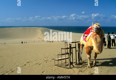 Giappone, Tottori, Sanddünen Foto Stock