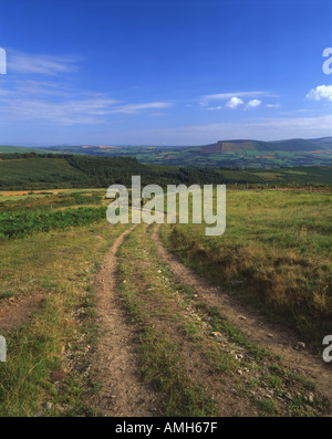 Farmland via Irlanda Foto Stock
