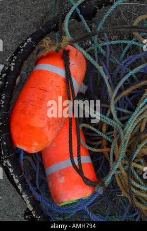 Boe e linee di pesca Foto Stock