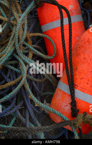 Boe e linee di pesca Foto Stock