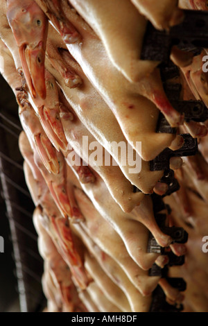 Una fila di carni fresche di volatili da appendere ad un mercato alimentare a Shanghai in Cina Foto Stock