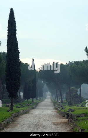 Una vecchia strada romana denominata Via Appia Antica di Roma Italia Foto Stock