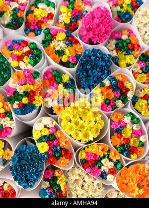 Fiori Secchi Rambla de las Flores Barcelona Spagna Foto Stock