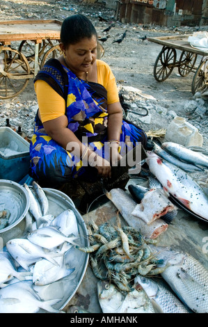 Una donna indiana la vendita di pesce fresco sulla strada in Navsari, Gujarat, India, Asia Foto Stock