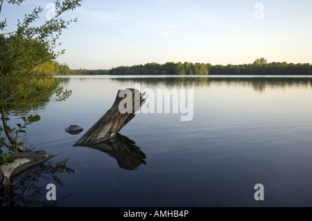 Silenzioso lago nella luce della sera, un marcio ceppo di albero in primo piano Foto Stock