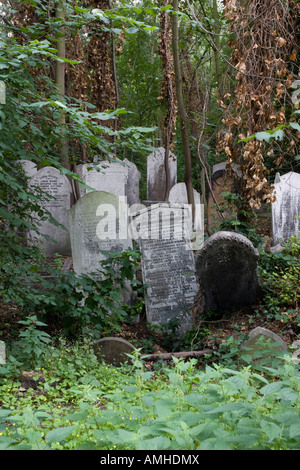 Lapidi, Tower Hamlets Cimitero Parco, Londra. Foto Stock