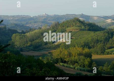 Colline del Roero in Piemonte, Italia Foto Stock