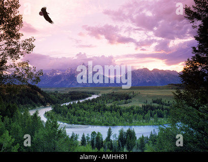 Bald HEADED EAGLE volare al di sopra lanca sul fiume Snake con Grand Tetons presso sunrise Foto Stock