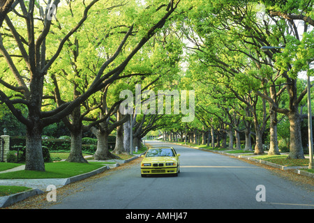 Giallo SPORT auto sulla strada residenziale di Beverly Hills California Foto Stock