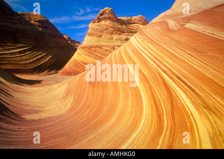 In prossimità delle strisce di pietra arenaria di Wave su Kenab Coyote Butte BLM Canyon Slot UT Foto Stock