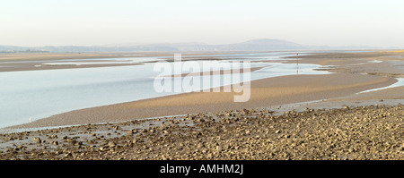 Vista su tutta Loughour estuario verso la Penisola di Gower Foto Stock