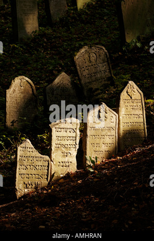 Cimitero ebraico a Trebic Repubblica Ceca Foto Stock