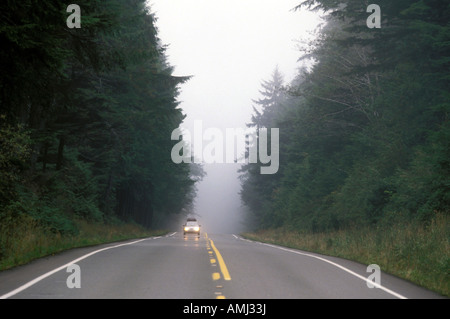 Auto su una strada nebbia California USA Foto Stock