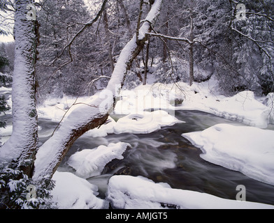 Sydenham fiume in inverno, Inglis Falls Park, Ontario, Canada Foto Stock