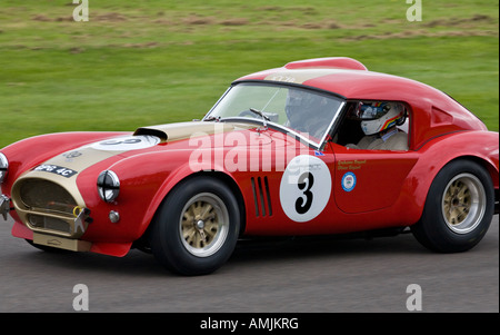 1964 AC Cobra prendendo parte al tributo a Roy Salvadori parade a Goodwood, Sussex, Regno Unito. Foto Stock