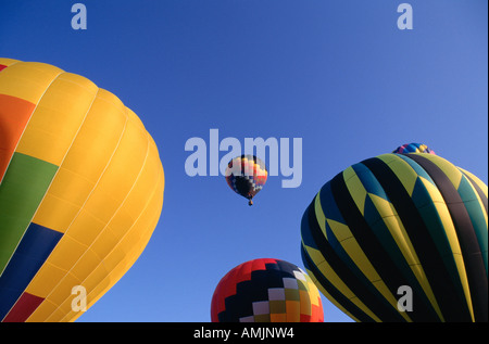 In mongolfiera ad aria calda, Tallahassee, Florida, Stati Uniti d'America Foto Stock