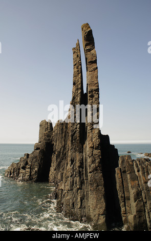 Bear Rock vicino a Hartland Point sulla North Devon costa. Foto Stock