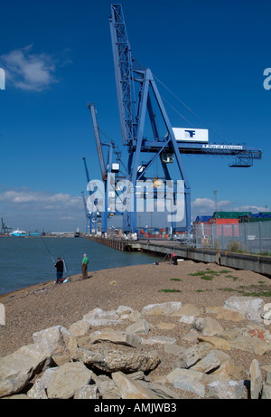 Porto di Felixstowe gru portuale contenitore Suffolk England Regno Unito Regno Unito GB Gran Bretagna UE Unione europea EUROPA Foto Stock