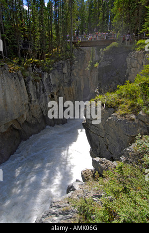 Cascate Athabasca del Parco Nazionale di Jasper Alberta Canada Canadian Rockies Canadesi Montagne Rocciose Foto Stock