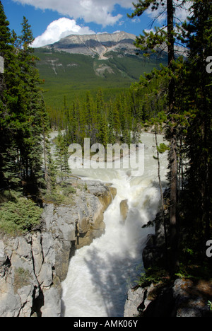 Cascate Athabasca del Parco Nazionale di Jasper Alberta Canada Canadian Rockies Canadesi Montagne Rocciose Foto Stock