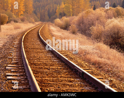 Via treno vicino a Cranbrook British Columbia, Canada Foto Stock