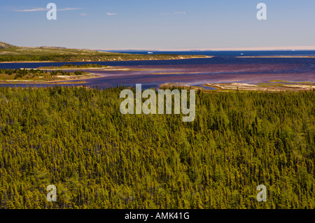 Pinware foce, isole e iceberg visto da lungo il Labrador unità costiere, Labrador, Canada Atlantico, Canada. Foto Stock