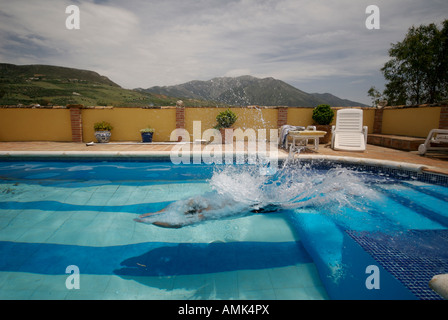 L'uomo le immersioni in piscina Foto Stock