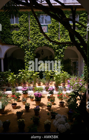 Un grazioso cortile in Sevilla Foto Stock