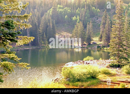 Un quasi dimenticato di montagna lago immerso nel Wasatch Rocky Mountain Range a est di Salt Lake City, Utah, Stati Uniti d'America. Foto Stock